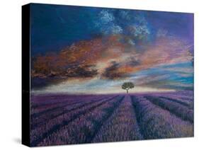 Lavender fields of Normandy,  pastel-Margo Starkey-Stretched Canvas