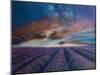 Lavender fields of Normandy,  pastel-Margo Starkey-Mounted Giclee Print