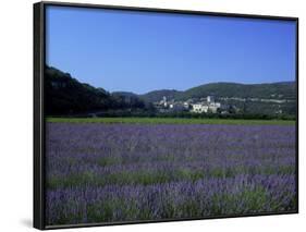 Lavender Fields Outside the Village of Montclus, Gard, Languedoc Roussillon, France-Ruth Tomlinson-Framed Photographic Print