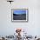 Lavender Fields Outside the Village of Montclus, Gard, Languedoc Roussillon, France-Ruth Tomlinson-Framed Photographic Print displayed on a wall