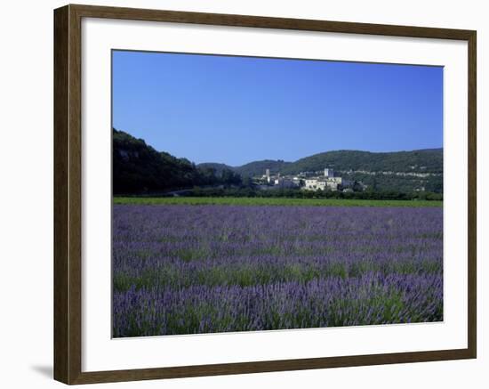 Lavender Fields Outside the Village of Montclus, Gard, Languedoc Roussillon, France-Ruth Tomlinson-Framed Photographic Print