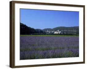 Lavender Fields Outside the Village of Montclus, Gard, Languedoc Roussillon, France-Ruth Tomlinson-Framed Photographic Print