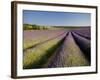 Lavender Fields, Provence, France, Europe-Ben Pipe-Framed Photographic Print