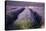 Lavender Fields, Provence, France, Europe-Angelo Cavalli-Stretched Canvas