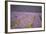 Lavender Fields, Sault En Provence, Vaucluse, Provence, France, Europe-Angelo Cavalli-Framed Photographic Print