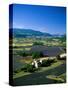 Lavender Fields, Sault, Provence, France-Steve Vidler-Stretched Canvas