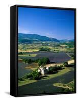 Lavender Fields, Sault, Provence, France-Steve Vidler-Framed Stretched Canvas