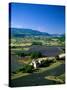 Lavender Fields, Sault, Provence, France-Steve Vidler-Stretched Canvas