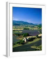 Lavender Fields, Sault, Provence, France-Steve Vidler-Framed Photographic Print