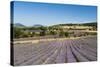 Lavender Fields, Terrassieres, Provence, France, Europe-Sergio Pitamitz-Stretched Canvas