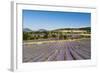 Lavender Fields, Terrassieres, Provence, France, Europe-Sergio Pitamitz-Framed Photographic Print