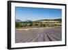 Lavender Fields, Terrassieres, Provence, France, Europe-Sergio Pitamitz-Framed Photographic Print