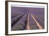 Lavender Fields, Valensole, Provence, France, Europe-Sergio Pitamitz-Framed Photographic Print
