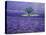 Lavender Fields, Vence, Provence, France-Gavriel Jecan-Stretched Canvas