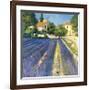 Lavender Fields-Philip Craig-Framed Giclee Print