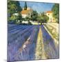 Lavender Fields-Philip Craig-Mounted Giclee Print