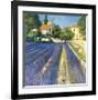 Lavender Fields-Philip Craig-Framed Giclee Print