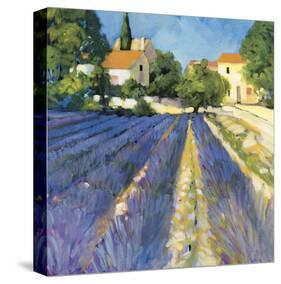 Lavender Fields-Philip Craig-Stretched Canvas