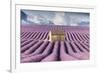 Lavender Fields-Tim Mannakee-Framed Giclee Print