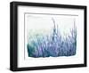 Lavender Floral Garden-Patricia Pinto-Framed Art Print