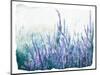 Lavender Floral Garden-Patricia Pinto-Mounted Art Print