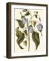 Lavender Floral I-Vision Studio-Framed Art Print