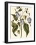 Lavender Floral I-Vision Studio-Framed Art Print