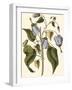 Lavender Floral I-Vision Studio-Framed Art Print