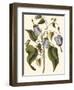 Lavender Floral I-Vision Studio-Framed Art Print