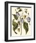 Lavender Floral I-Vision Studio-Framed Art Print