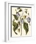 Lavender Floral I-Vision Studio-Framed Art Print