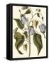 Lavender Floral I-Vision Studio-Framed Stretched Canvas