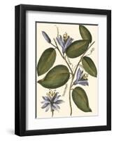 Lavender Floral III-Vision Studio-Framed Art Print