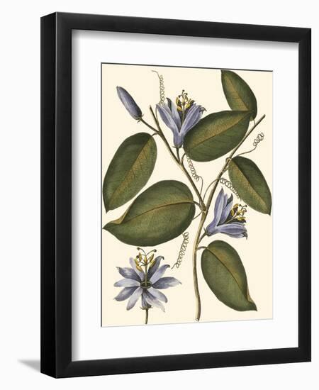 Lavender Floral III-Vision Studio-Framed Art Print