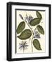 Lavender Floral III-Vision Studio-Framed Art Print