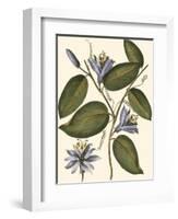 Lavender Floral III-Vision Studio-Framed Art Print