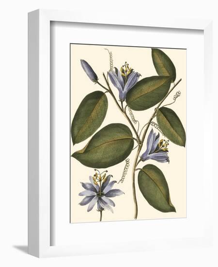 Lavender Floral III-Vision Studio-Framed Art Print