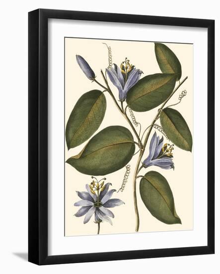 Lavender Floral III-Vision Studio-Framed Art Print