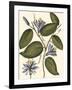 Lavender Floral III-Vision Studio-Framed Art Print