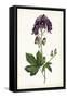 Lavender Florals I-Curtis-Framed Stretched Canvas