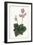 Lavender Florals V-Curtis-Framed Art Print