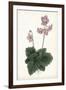 Lavender Florals V-Curtis-Framed Art Print