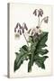 Lavender Florals VII-Curtis-Stretched Canvas
