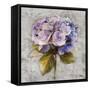 Lavender Flourish Square I-Patricia Pinto-Framed Stretched Canvas