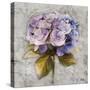 Lavender Flourish Square I-Patricia Pinto-Stretched Canvas