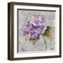 Lavender Flourish Square II-Patricia Pinto-Framed Art Print