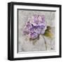 Lavender Flourish Square II-Patricia Pinto-Framed Art Print