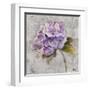 Lavender Flourish Square II-Patricia Pinto-Framed Art Print