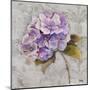 Lavender Flourish Square II-Patricia Pinto-Mounted Art Print