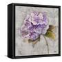 Lavender Flourish Square II-Patricia Pinto-Framed Stretched Canvas